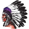 Bonham High School logo