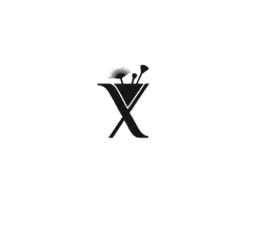 Axel Makeup Academy logo