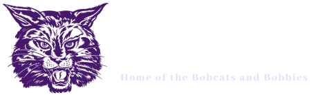 Dimmitt High School logo