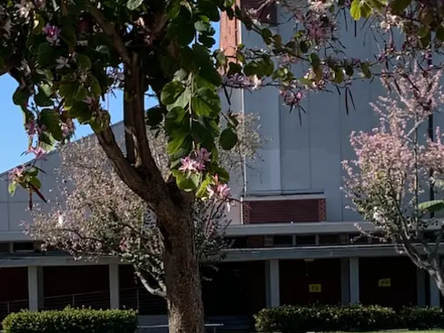 Exterior of John C. Fremont High School with a low covered walkway, flowering trees, hedges, and a taller school building behind it.