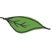 San Francisco Institute of Esthetics & Cosmetology logo
